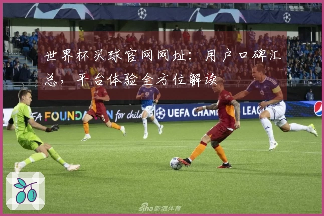 世界杯买球官网网址：用户口碑汇总，平台体验全方位解读