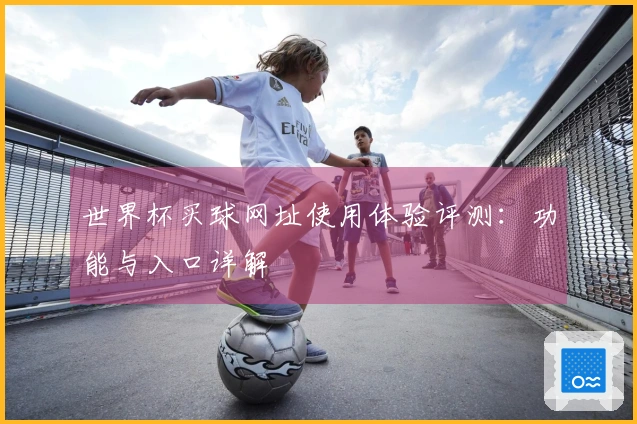 世界杯买球网址使用体验评测:功能与入口详解