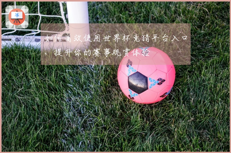如何高效使用世界杯竞猜平台入口，提升你的赛事观赏体验