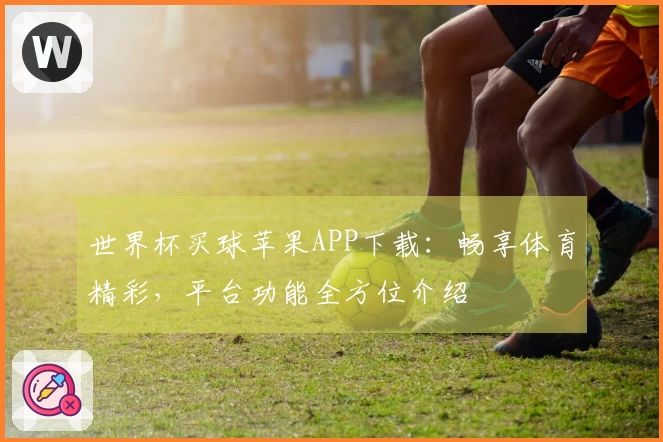 世界杯买球苹果APP下载：畅享体育精彩，平台功能全方位介绍
