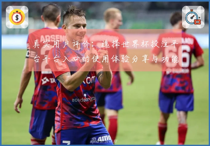 真实用户评价：选择世界杯投注平台平台入口的使用体验分享与功能介绍