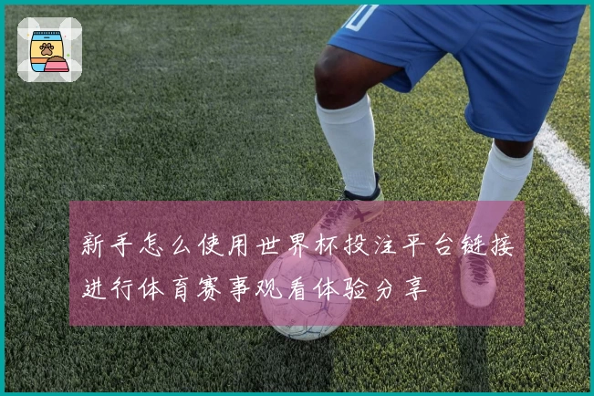 新手怎么使用世界杯投注平台链接进行体育赛事观看体验分享