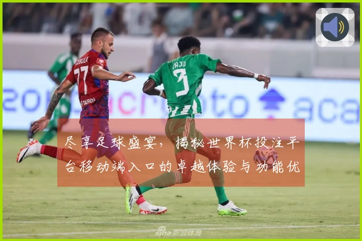 尽享足球盛宴，揭秘世界杯投注平台移动端入口的卓越体验与功能优势