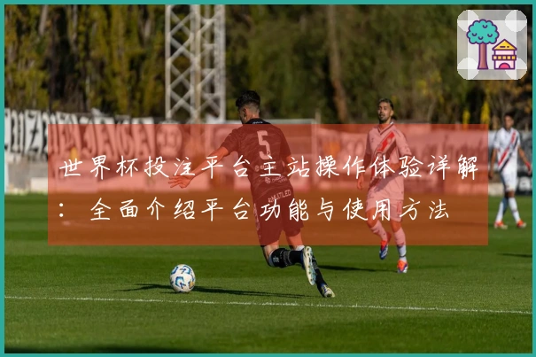 世界杯投注平台主站操作体验详解：全面介绍平台功能与使用方法