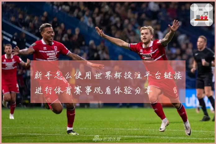 新手怎么使用世界杯投注平台链接进行体育赛事观看体验分享