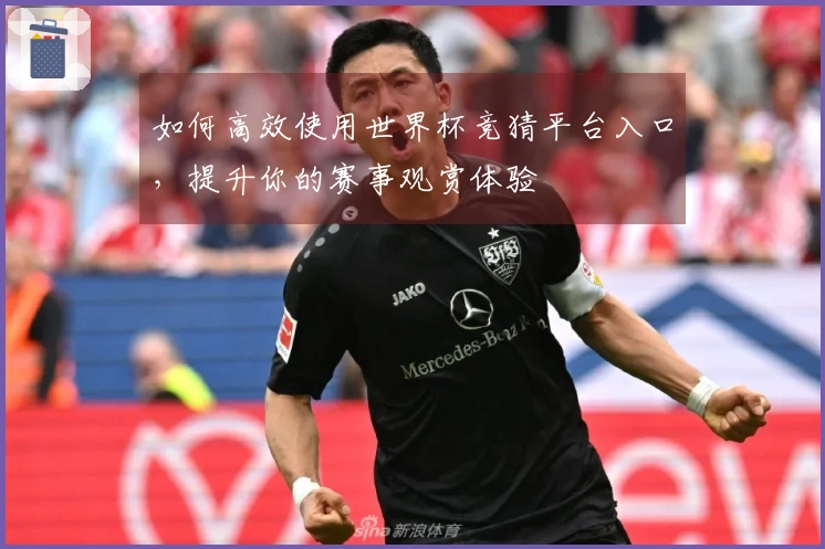 如何高效使用世界杯竞猜平台入口，提升你的赛事观赏体验