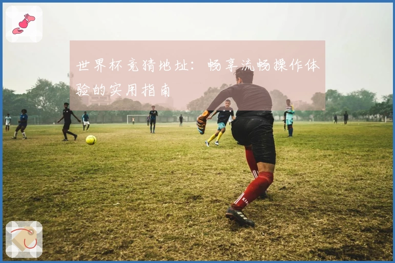 世界杯竞猜地址:畅享流畅操作体验的实用指南