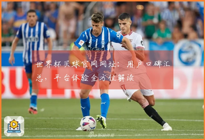世界杯买球官网网址：用户口碑汇总，平台体验全方位解读