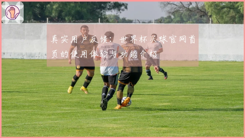 真实用户反馈：世界杯买球官网首页的使用体验与功能介绍