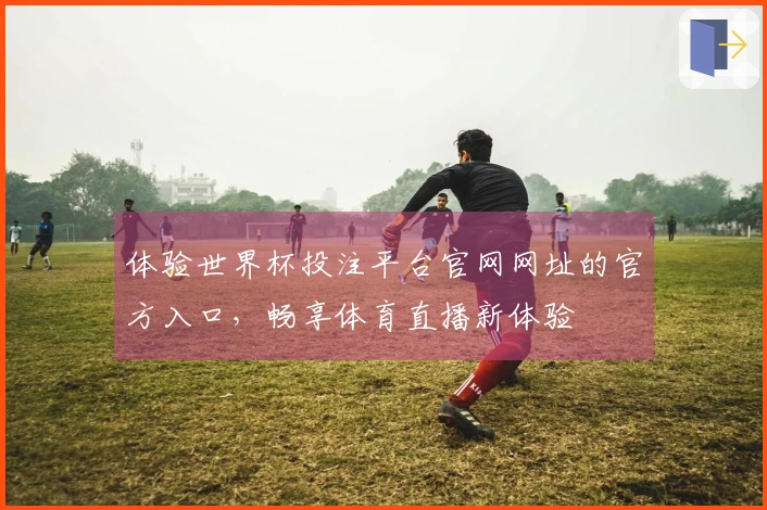 体验世界杯投注平台官网网址的官方入口,畅享体育直播新体验